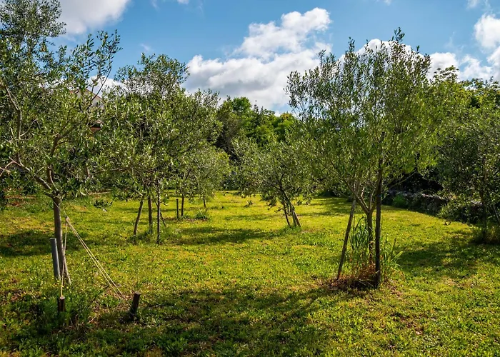 Feriehus Tuscany For Two By Interhome *