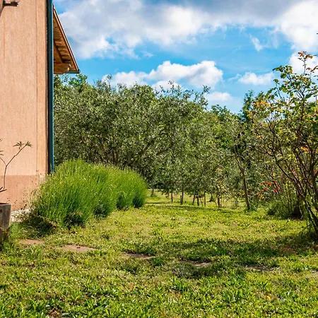 Tuscany For Two By Interhome Dobrinj